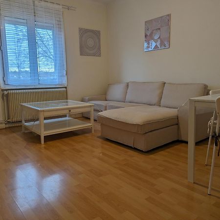 Le Balois - Appartement 2 Chambres, Salon, Cuisine Equipee, Parking Et Wifi Gratuit Mulhouse Exterior photo