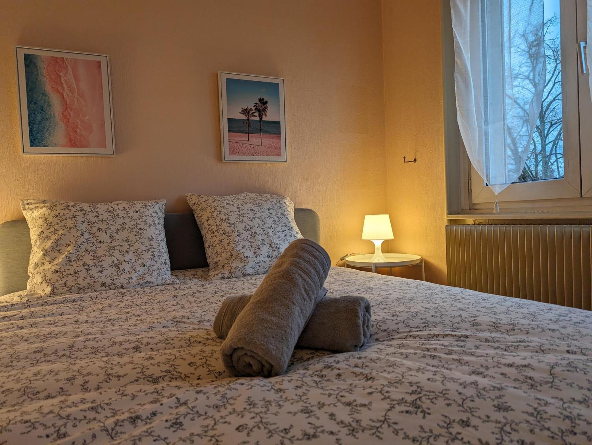 Le Balois - Appartement 2 Chambres, Salon, Cuisine Equipee, Parking Et Wifi Gratuit Mulhouse Exterior photo